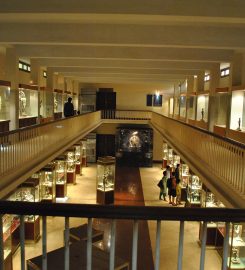 Government Museum Chennai
