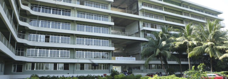 VIVA Institute of Applied Art