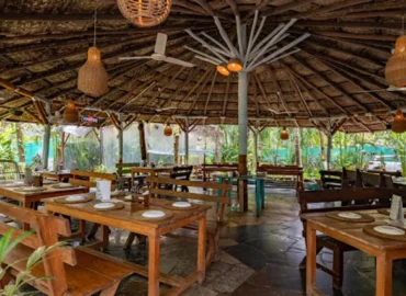 Saraya – Ecostay, Art Cafe and Art Gallery in Goa