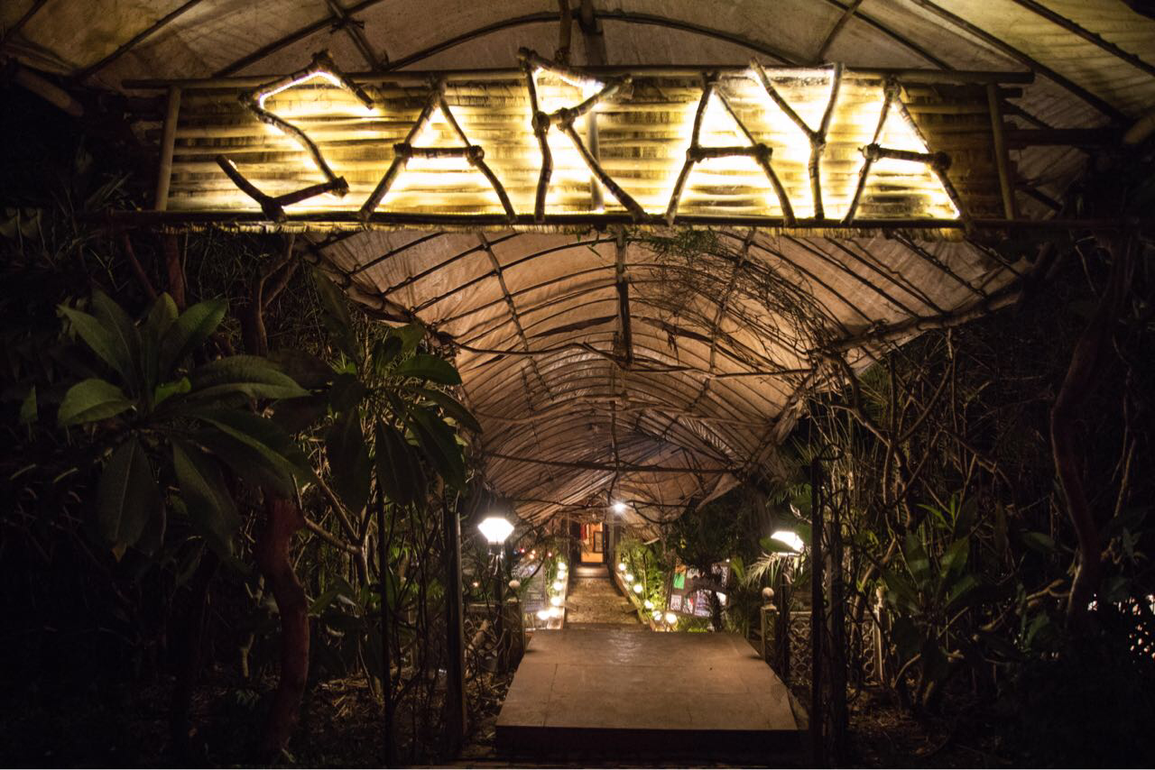 saraya eco stay and gallery