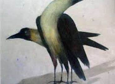 Subhaprasanna Bhattacharjee